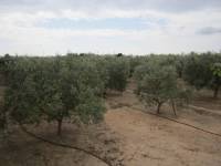 Re-sale - Villa - El Altet - Altet