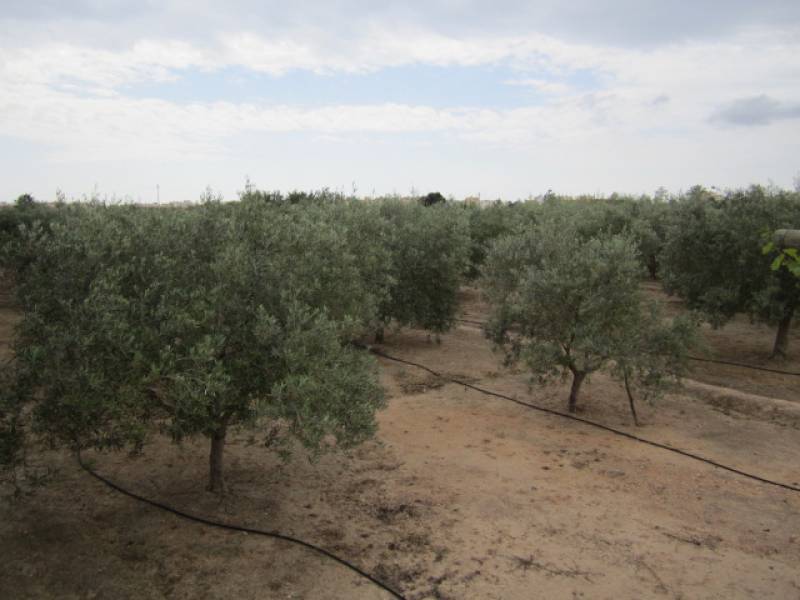 Re-sale - Villa - El Altet - Altet