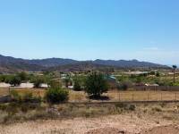 Obra Nueva - Casa de campo - Macisvenda