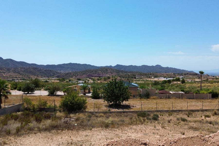 Obra Nueva - Casa de campo - Macisvenda