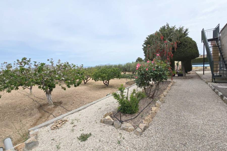 Re-sale - Country house - Aspe