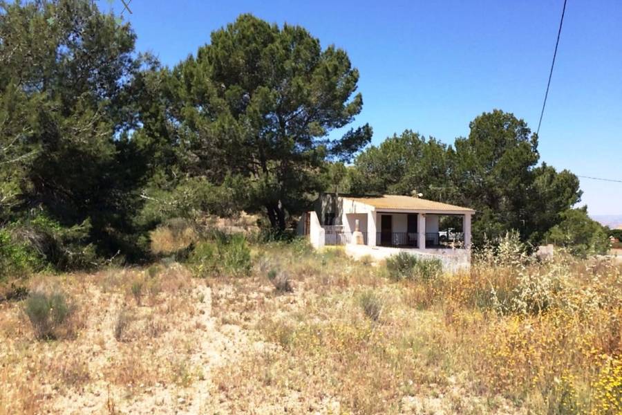 Venta - Casa de campo - Monforte Del Cid - Monforte cid