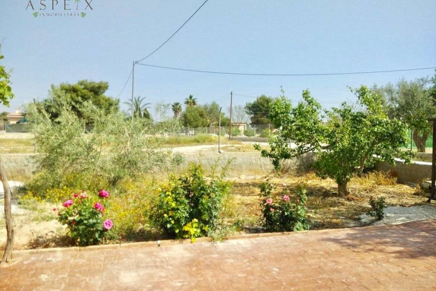 Venta - Casa de campo - Elche