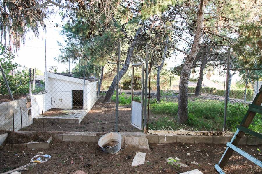 Venta - Chalet - Elche  - BUENOS AIRES