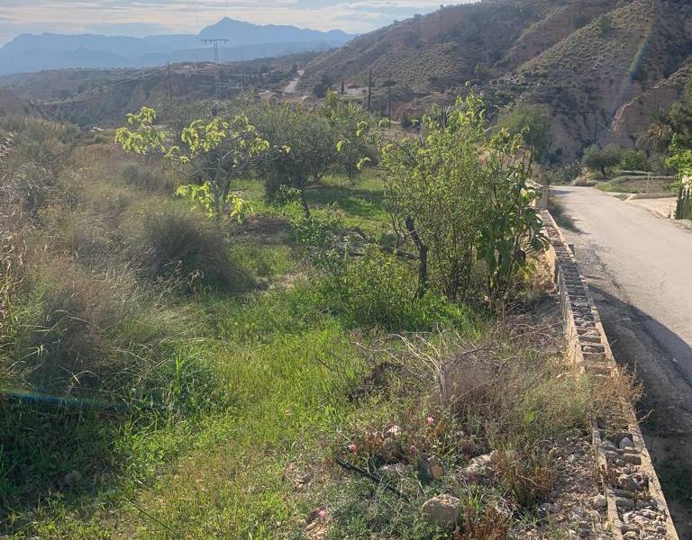 Venta - Casa de campo - Macisvenda