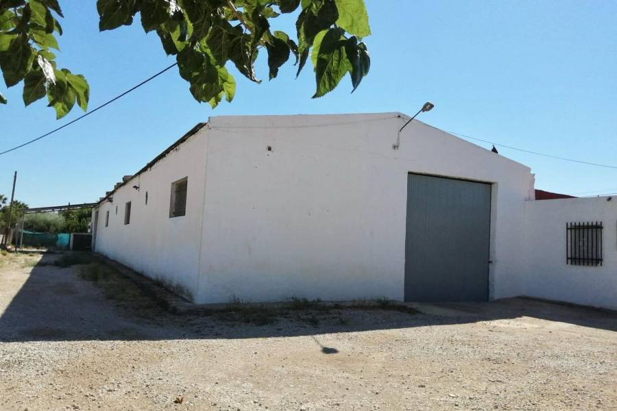 Venta - Casa de campo - Crevillente