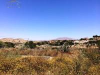 Venta - Casa de campo - Monforte Del Cid - Monforte cid