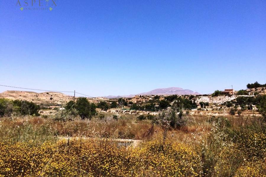 Venta - Casa de campo - Monforte Del Cid - Monforte cid