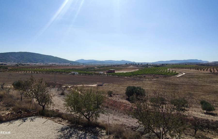 Venta - Casa de campo - Pinoso