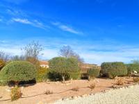 Venta - Casa de campo - Hondon De Los Frailes