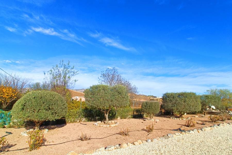 Venta - Casa de campo - Hondon De Los Frailes