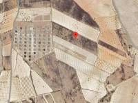 Venta - Plot - Pinoso