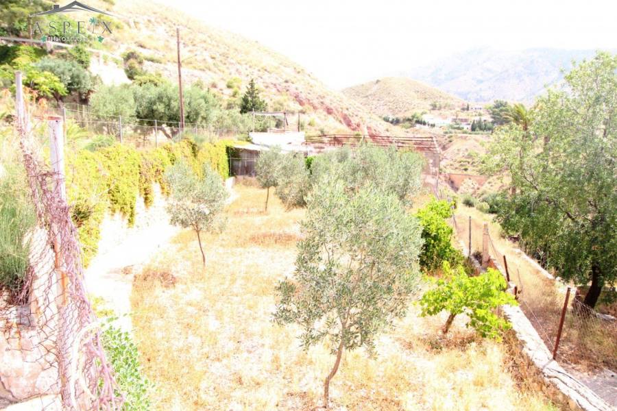 Re-sale - Country house - Petrer