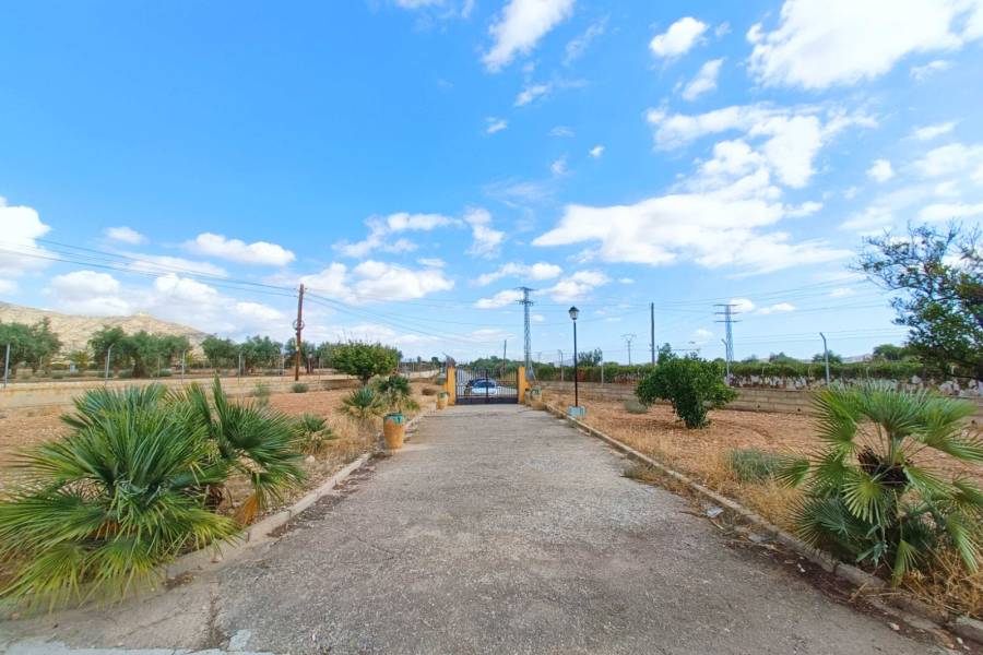 Venta - Casa de campo - Aspe