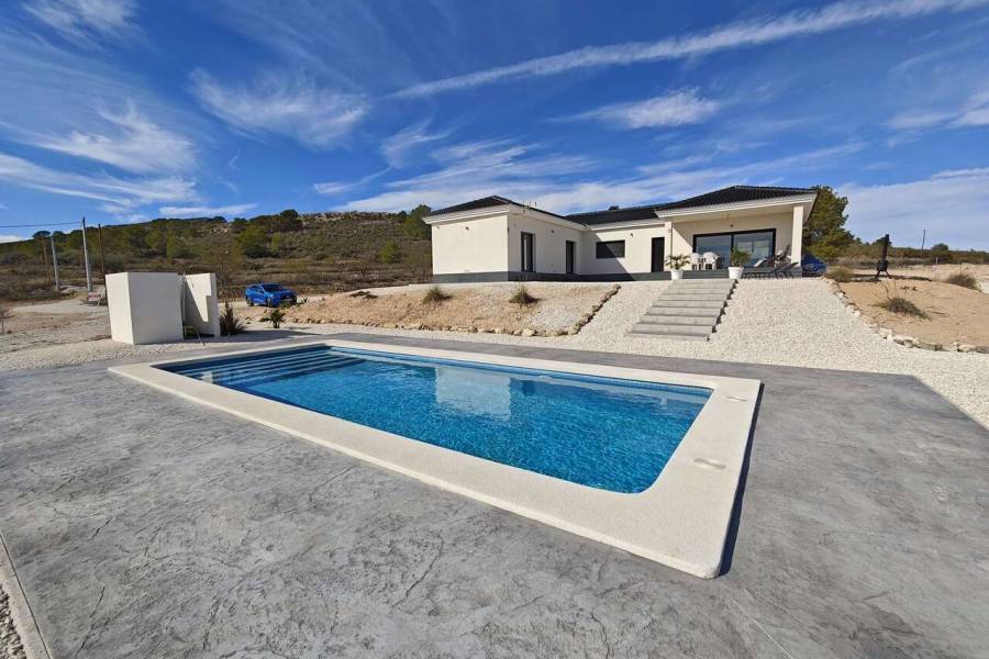 New Build - Country house - Pinoso