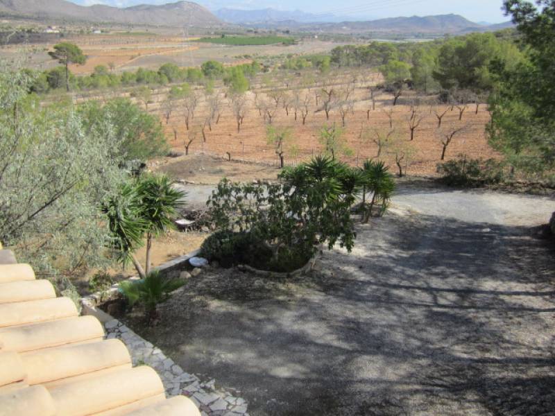 Re-sale - Country house - Hondon De Las Nieves - LA CANALOSA
