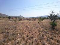 Venta - Plot - Hondon De Las Nieves - LA CANALOSA