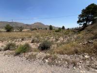 Venta - Plot - Barbarroja