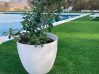 Re-sale - Country house - Petrer - Loma badá