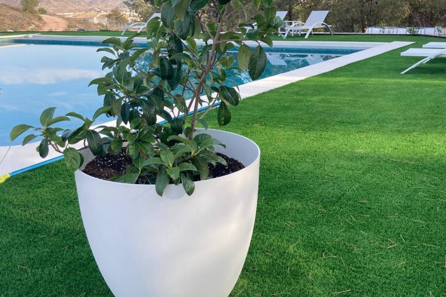 Re-sale - Country house - Petrer - Loma badá