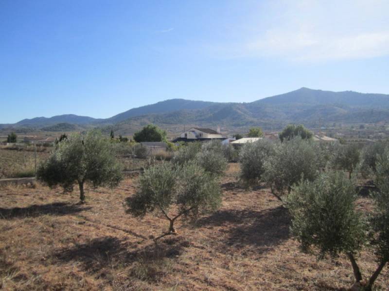 Venta - Casa de campo - Hondon De Los Frailes - CASAS DE GALIANA