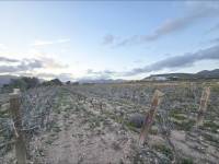 Re-sale - Country land - La Romana - CAÑADA ANDALUZ