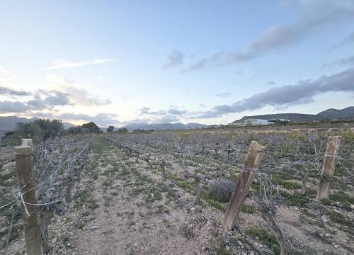 Country land - Re-sale - La Romana - CAÑADA ANDALUZ