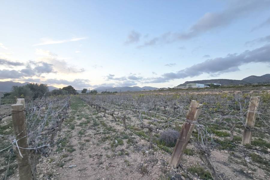 Re-sale - Country land - La Romana - CAÑADA ANDALUZ