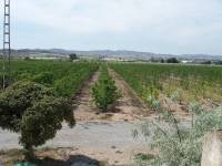 Re-sale - Country house - Monforte Del Cid - GABARRERA