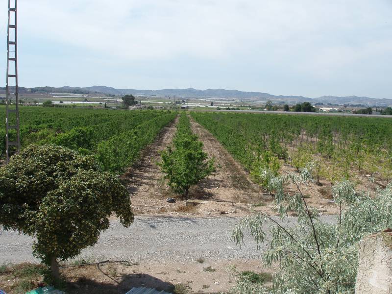 Re-sale - Country house - Monforte Del Cid - GABARRERA