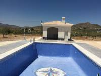 New Build - Country house - Pinoso