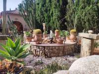 Re-sale - Country house - Novelda - CAMPET