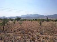 Re-sale - Plot - Hondon De Las Nieves - LA CANALOSA