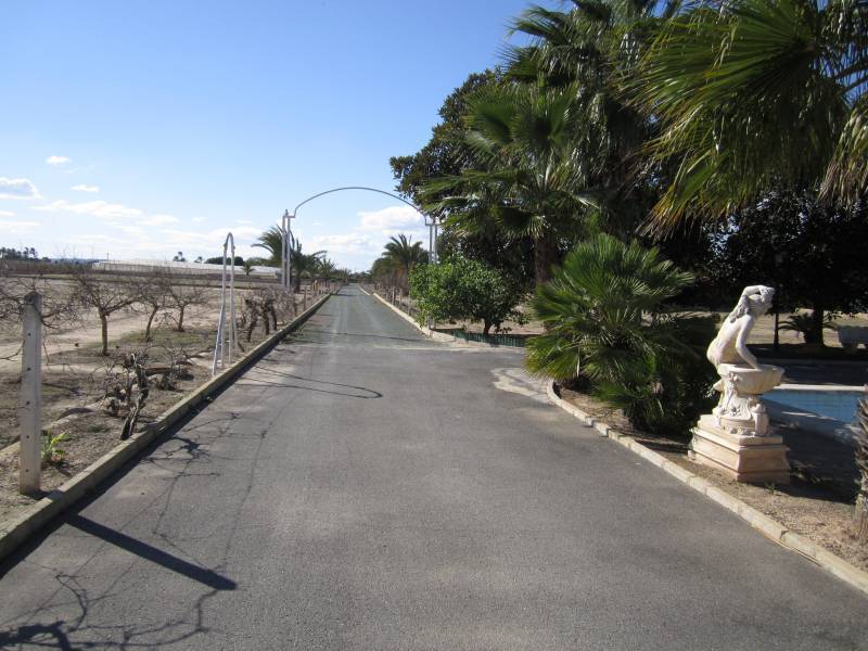 Re-sale - Villa - Elche