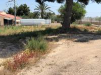 Re-sale - Villa - Elche pedanias - PEÑA LAS AGUILAS