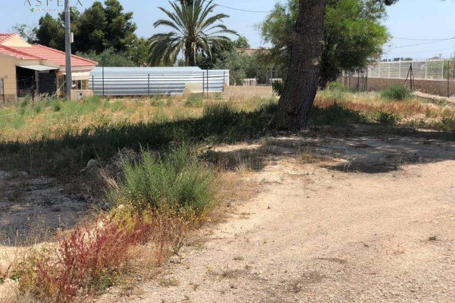 Re-sale - Villa - Elche pedanias - PEÑA LAS AGUILAS