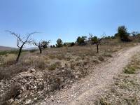 Venta - Plot - Barbarroja