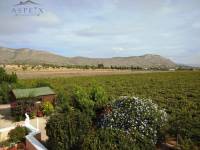 Re-sale - Villa - Hondon De Las Nieves - SIMOLA