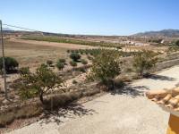 Venta - Casa de campo - Pinoso