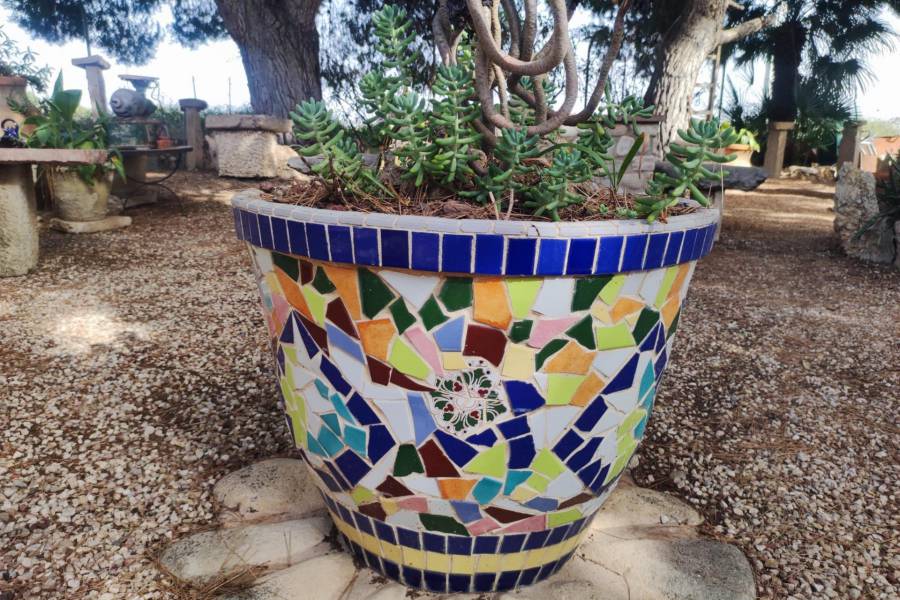 Re-sale - Country house - Novelda - CAMPET