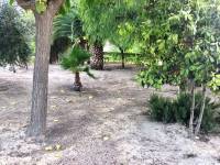 Venta - Chalet - Novelda - CUCUCH