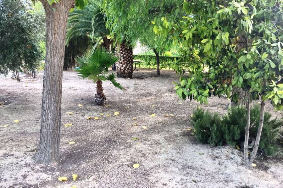 Venta - Chalet - Novelda - CUCUCH