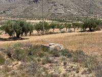 Venta - Plot - Barbarroja