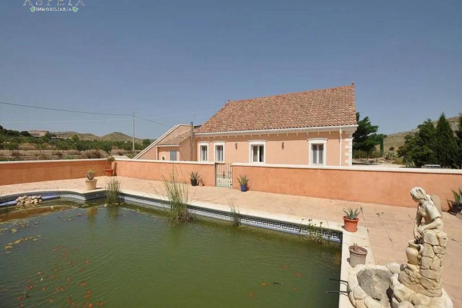 Re-sale - Country house - Pinoso