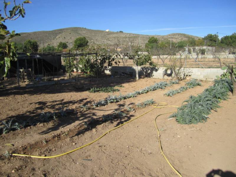 Venta - Casa de campo - Hondon De Los Frailes - CASAS DE GALIANA