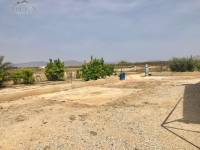 Re-sale - Villa - Aspe pedanias - Huerta mayor