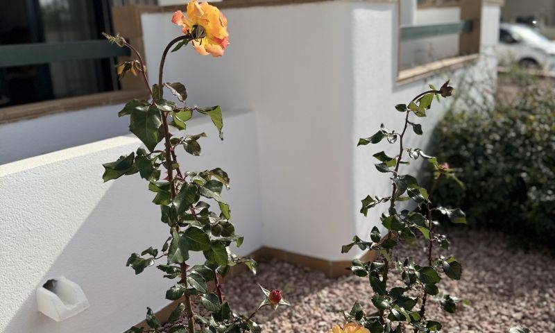 Venta - Apartamento - Villamartin - Campoamor golf resort