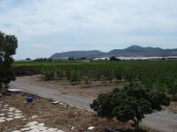 Re-sale - Country house - Monforte Del Cid - GABARRERA