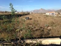 Venta - Plot - Hondon De Los Frailes