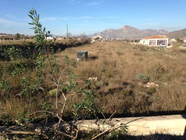 Venta - Plot - Hondon De Los Frailes